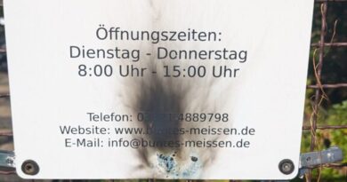 Angriffe gegen das Bunte Meißen