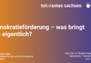 Impulse zur Regierungsbildung II: Demokratieförderung – was bringt das eigentlich?