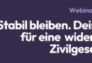 Stabil bleiben. Dein Werkzeugkoffer für eine widerstandsfähige Zivilgesellschaft | Webinarreihe